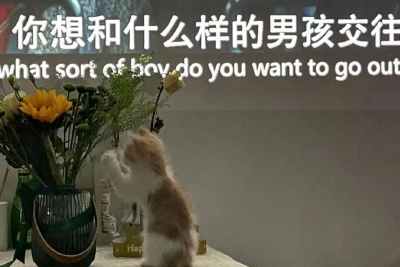 为什么一看到可爱的东西，我们就忍不住想rua？